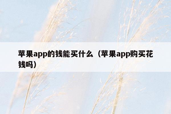 苹果app的钱能买什么（苹果app购买花钱吗）