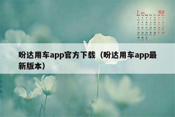 盼达用车app官方下载（盼达用车app最新版本）