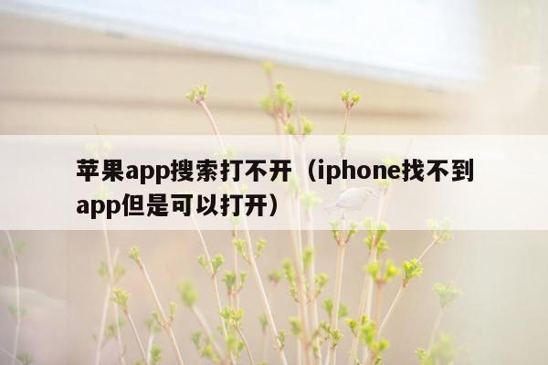 苹果app搜索打不开（iphone找不到app但是可以打开）