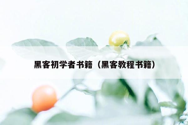 黑客初学者书籍（黑客教程书籍）