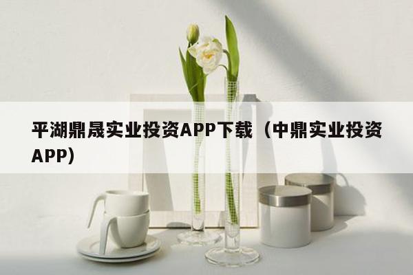 平湖鼎晟实业投资APP下载（中鼎实业投资APP）