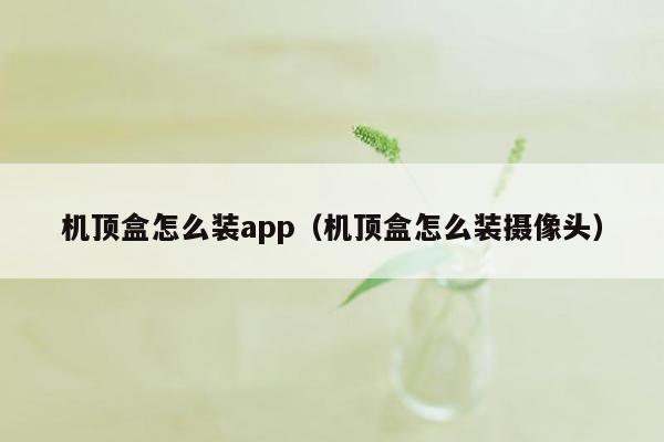 机顶盒怎么装app（机顶盒怎么装摄像头）