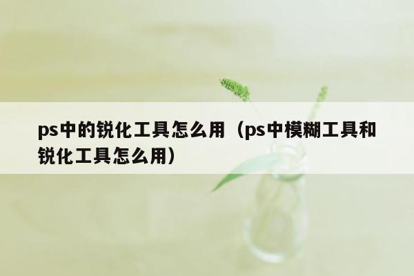 ps中的锐化工具怎么用（ps中模糊工具和锐化工具怎么用）