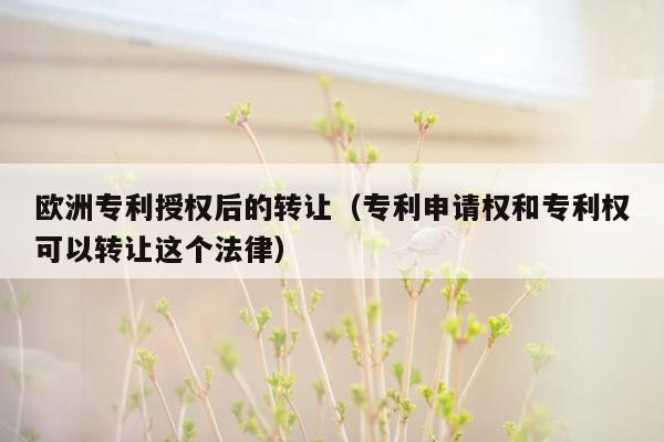 欧洲专利授权后的转让（专利申请权和专利权可以转让这个法律）