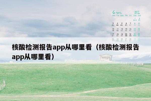 核酸检测报告app从哪里看（核酸检测报告app从哪里看）