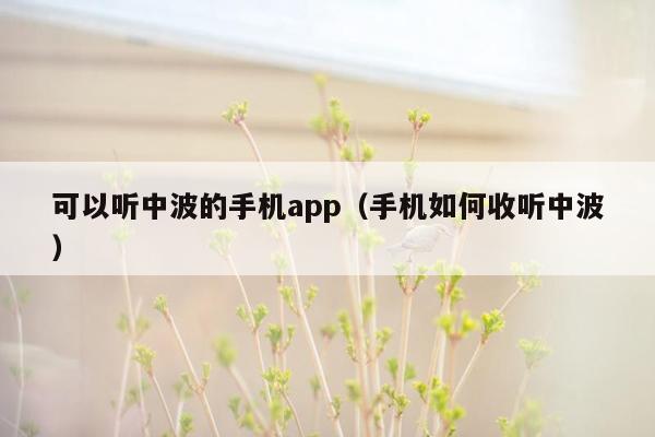 可以听中波的手机app（手机如何收听中波）