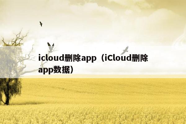 icloud删除app（iCloud删除app数据）