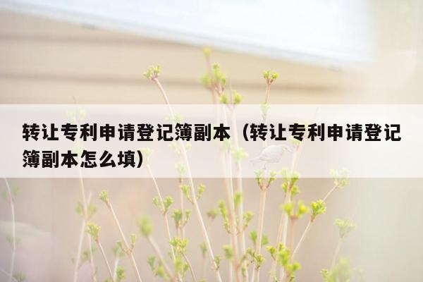 转让专利申请登记簿副本（转让专利申请登记簿副本怎么填）