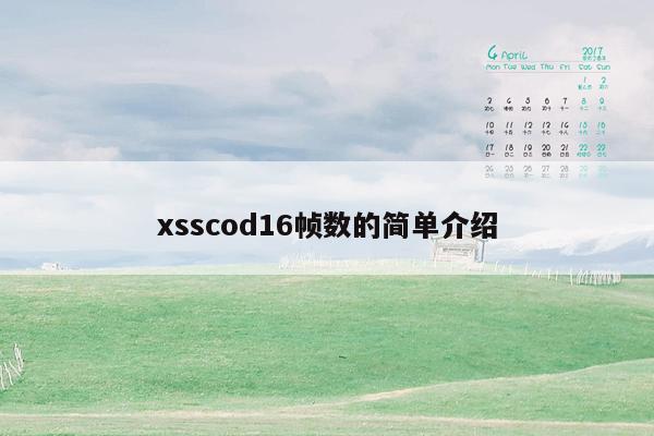 xsscod16帧数的简单介绍