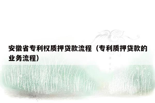 安徽省专利权质押贷款流程（专利质押贷款的业务流程）