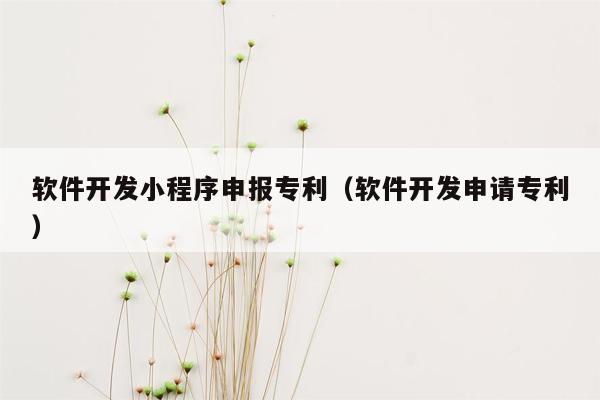 软件开发小程序申报专利（软件开发申请专利）