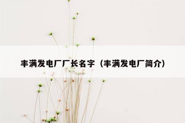 丰满发电厂厂长名字（丰满发电厂简介）