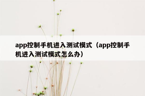 app控制手机进入测试模式（app控制手机进入测试模式怎么办）