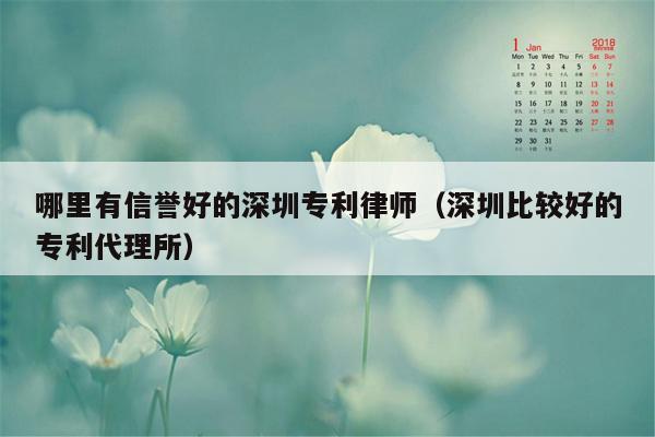 哪里有信誉好的深圳专利律师（深圳比较好的专利代理所）