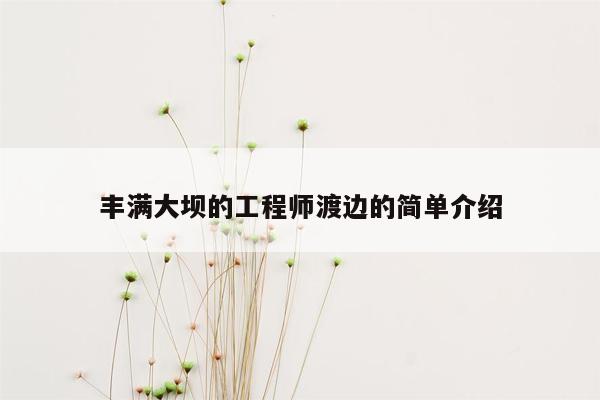 丰满大坝的工程师渡边的简单介绍