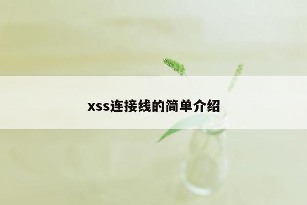 xss连接线的简单介绍