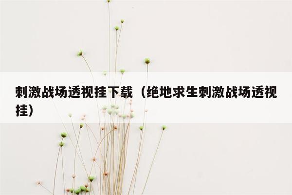 刺激战场透视挂下载（绝地求生刺激战场透视挂）