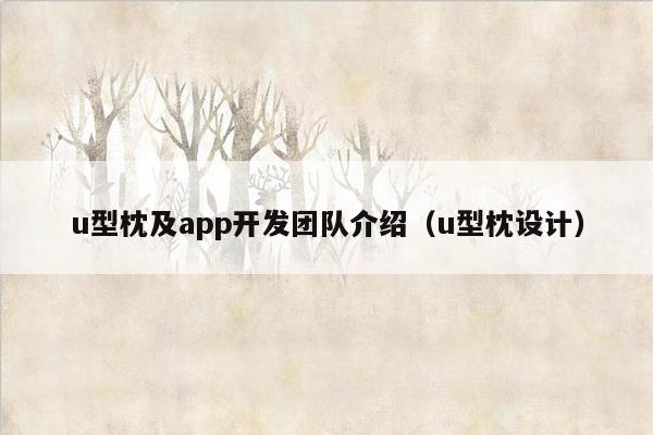 u型枕及app开发团队介绍（u型枕设计）