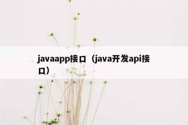 javaapp接口（java开发api接口）