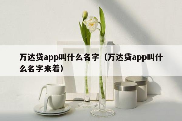 万达贷app叫什么名字（万达贷app叫什么名字来着）