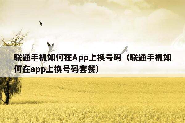 联通手机如何在App上换号码（联通手机如何在app上换号码套餐）