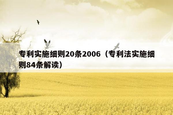 专利实施细则20条2006（专利法实施细则84条解读）