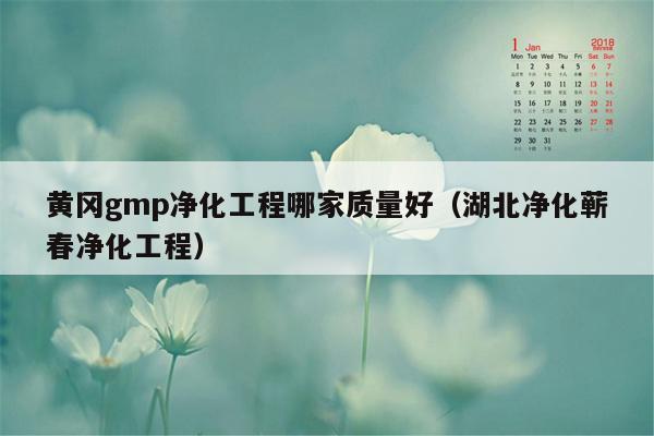 黄冈gmp净化工程哪家质量好（湖北净化蕲春净化工程）