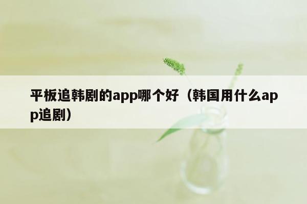 平板追韩剧的app哪个好（韩国用什么app追剧）