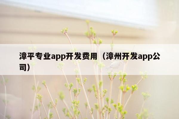 漳平专业app开发费用（漳州开发app公司）