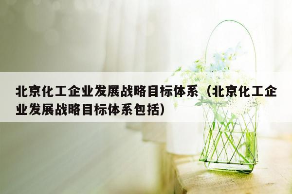 北京化工企业发展战略目标体系（北京化工企业发展战略目标体系包括）