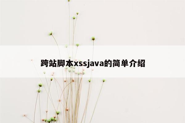 跨站脚本xssjava的简单介绍