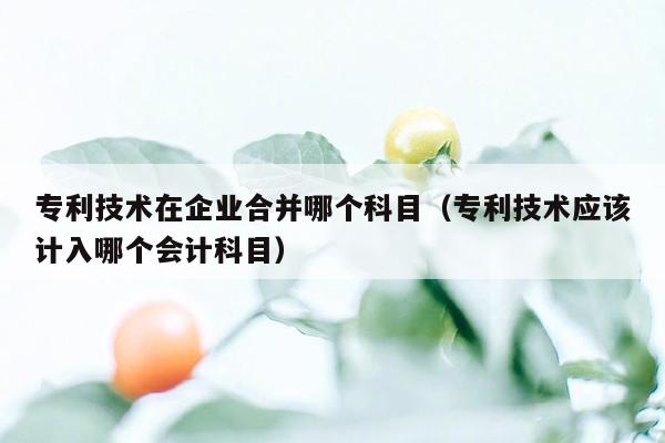 专利技术在企业合并哪个科目（专利技术应该计入哪个会计科目）