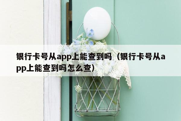 银行卡号从app上能查到吗（银行卡号从app上能查到吗怎么查）