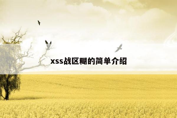 xss战区糊的简单介绍