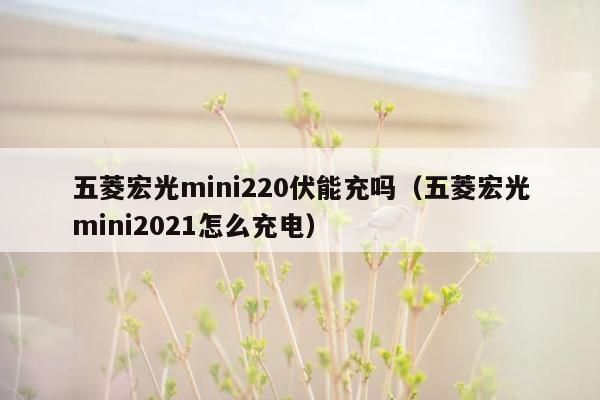 五菱宏光mini220伏能充吗（五菱宏光mini2021怎么充电）