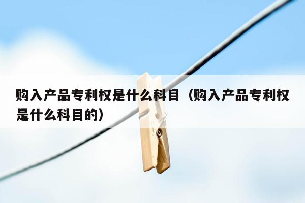 购入产品专利权是什么科目（购入产品专利权是什么科目的）