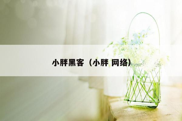 小胖黑客（小胖 网络）