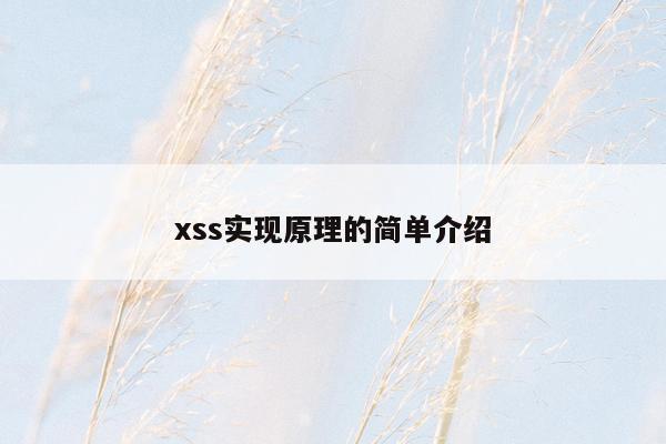 xss实现原理的简单介绍