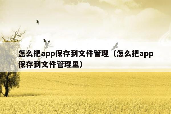 怎么把app保存到文件管理（怎么把app保存到文件管理里）