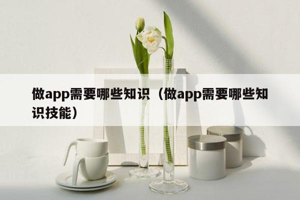 做app需要哪些知识（做app需要哪些知识技能）