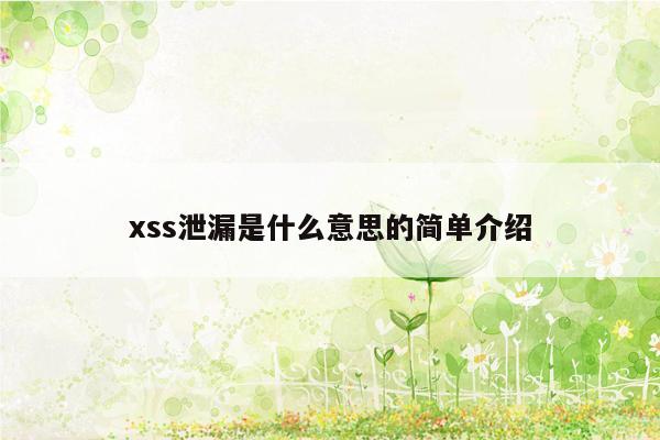 xss泄漏是什么意思的简单介绍