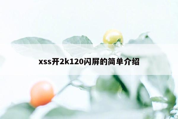 xss开2k120闪屏的简单介绍