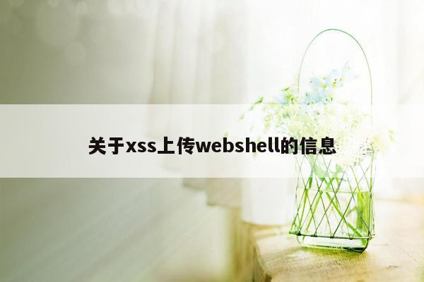 关于xss上传webshell的信息