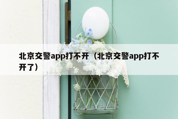 北京交警app打不开（北京交警app打不开了）