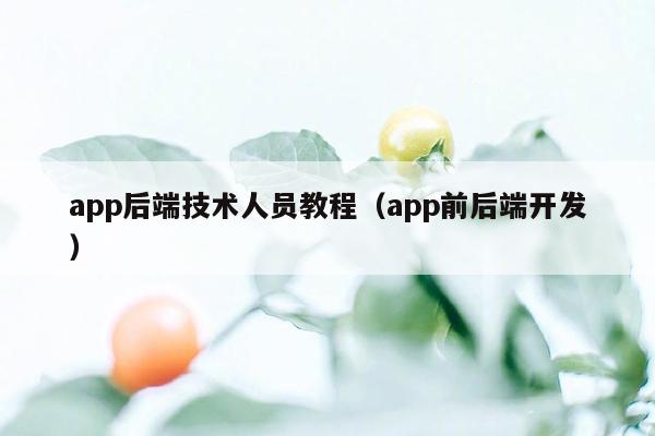 app后端技术人员教程（app前后端开发）