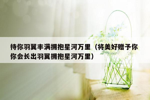 待你羽翼丰满拥抱星河万里（将美好赠予你 你会长出羽翼拥抱星河万里）