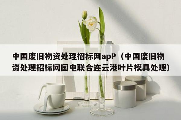 中国废旧物资处理招标网apP（中国废旧物资处理招标网国电联合连云港叶片模具处理）