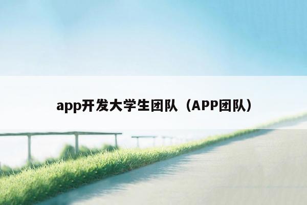 app开发大学生团队（APP团队）