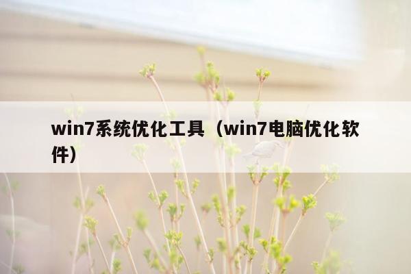 win7系统优化工具（win7电脑优化软件）