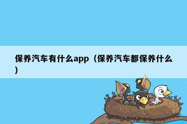 保养汽车有什么app（保养汽车都保养什么）